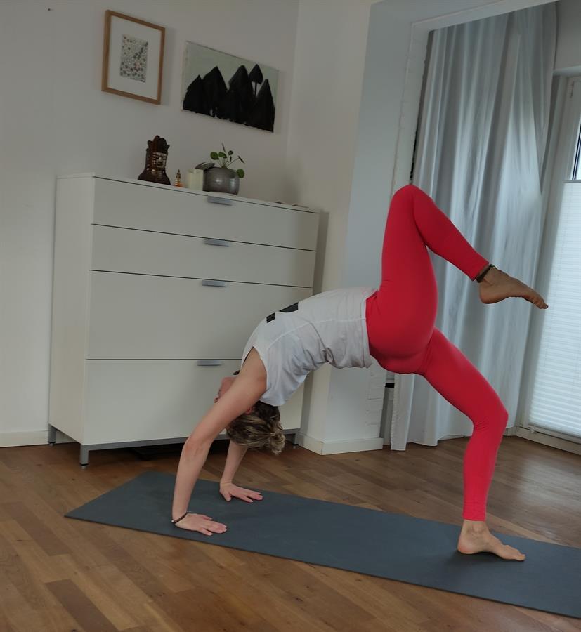 yogaflux online 2021